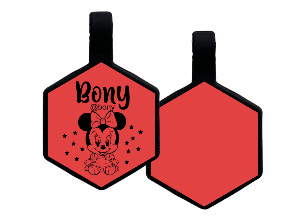 PLACA DE IDENTIFICACIÓN HEXÁGONO - BABY MINIE12