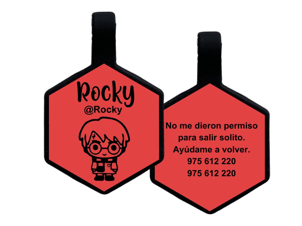 PLACA DE IDENTIFICACIÓN HEXÁGONO - HARRY POTTER1