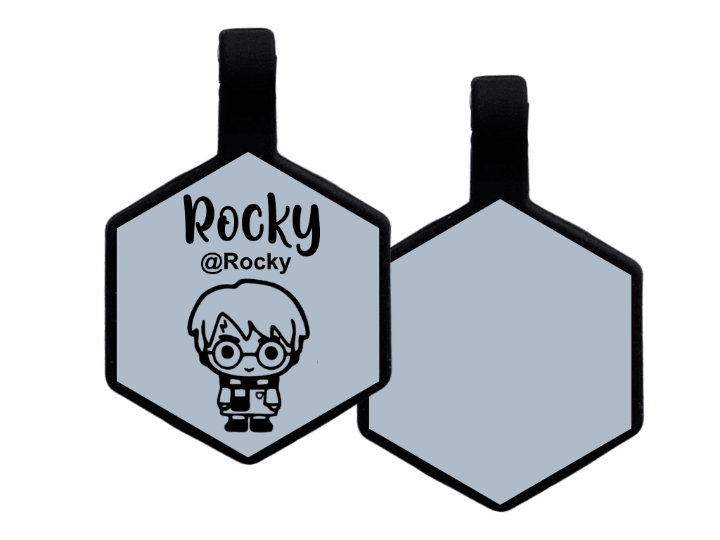 PLACA DE IDENTIFICACIÓN HEXÁGONO - HARRY POTTER6