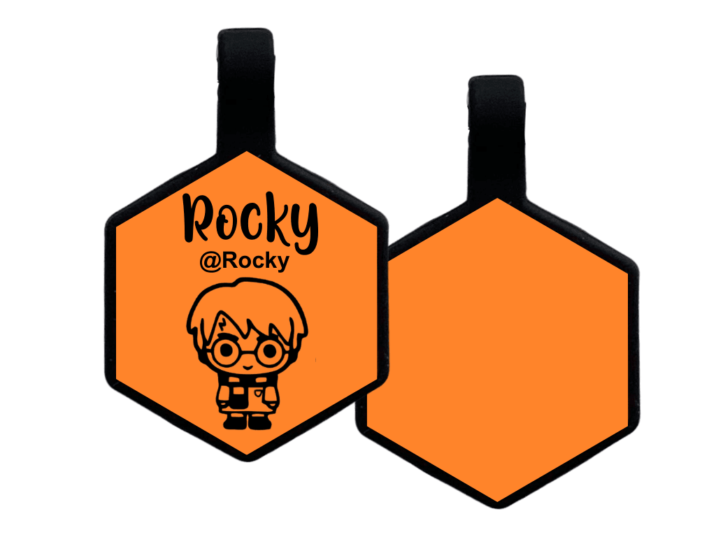 PLACA DE IDENTIFICACIÓN HEXÁGONO - HARRY POTTER10