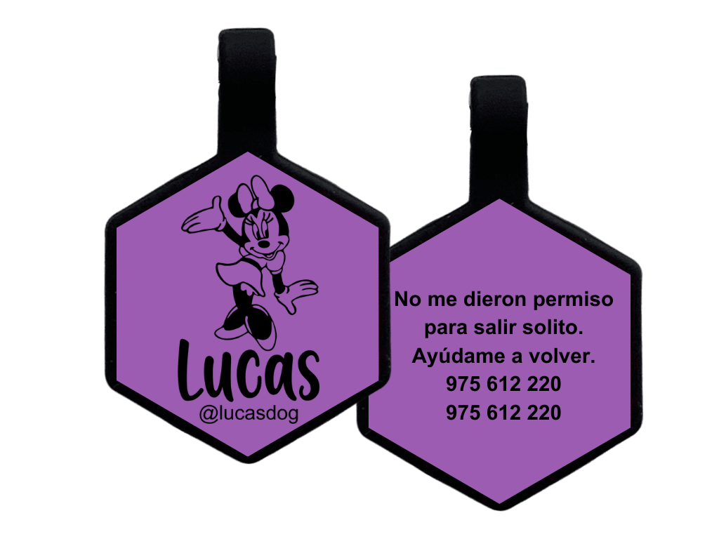 PLACA DE IDENTIFICACIÓN HEXÁGONO - MINIE MOUSE1