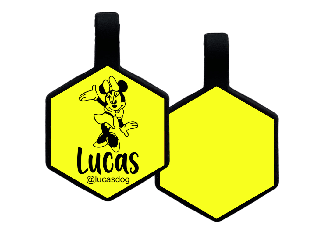 PLACA DE IDENTIFICACIÓN HEXÁGONO - MINIE MOUSE7