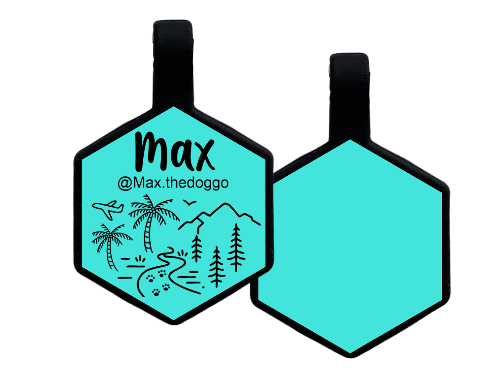 PLACA DE IDENTIFICACIÓN HEXÁGONO - VIVAN LOS VIAJES4