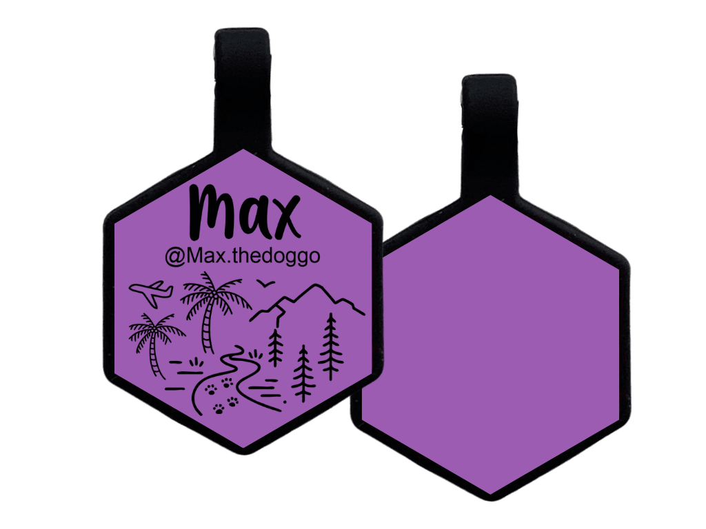 PLACA DE IDENTIFICACIÓN HEXÁGONO - VIVAN LOS VIAJES9