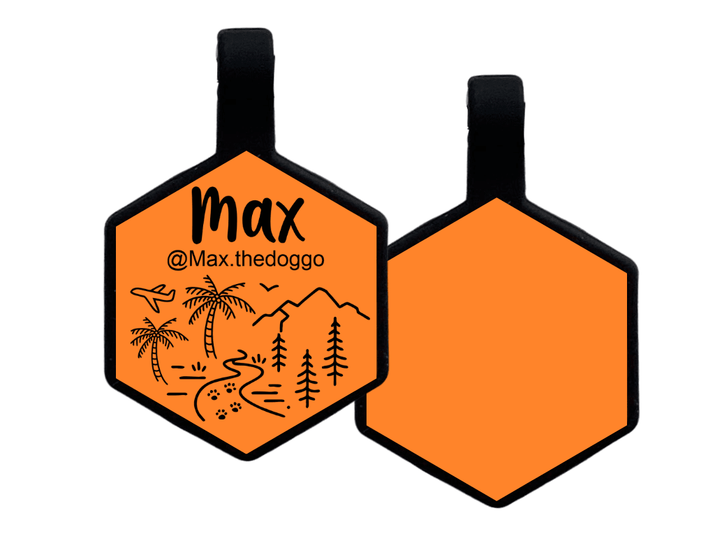 PLACA DE IDENTIFICACIÓN HEXÁGONO - VIVAN LOS VIAJES10