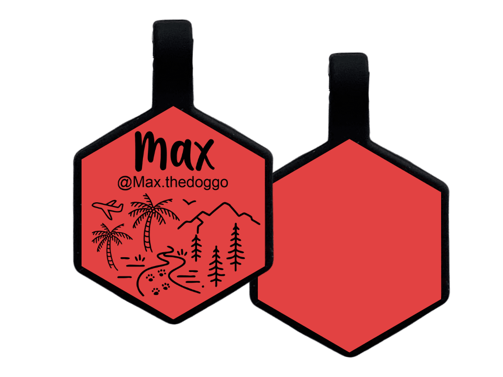 PLACA DE IDENTIFICACIÓN HEXÁGONO - VIVAN LOS VIAJES11