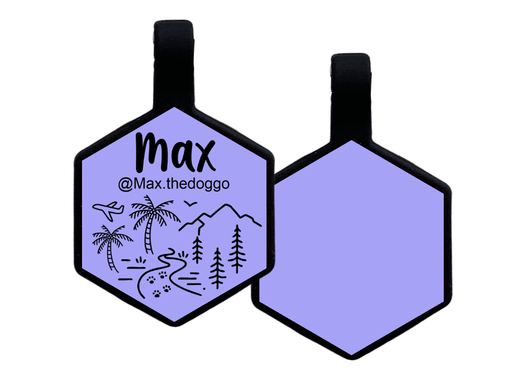 PLACA DE IDENTIFICACIÓN HEXÁGONO - VIVAN LOS VIAJES12