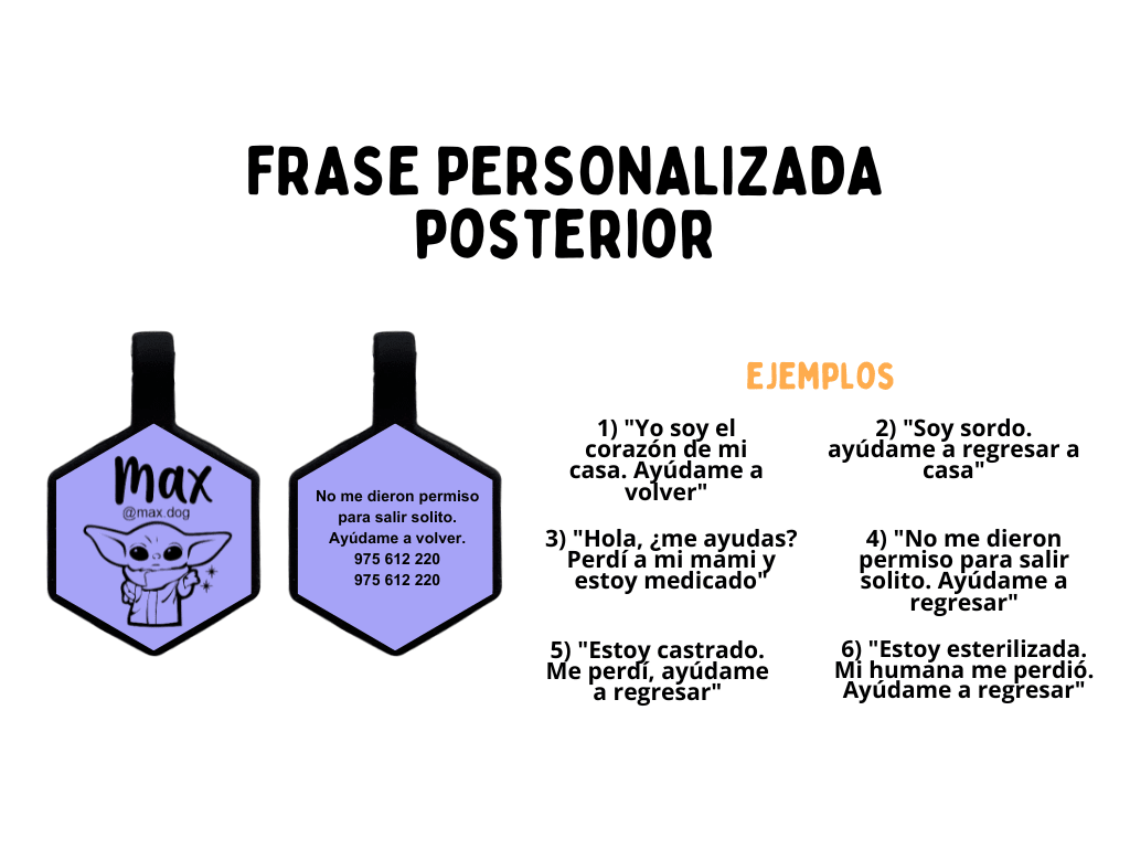 PLACA DE IDENTIFICACIÓN HEXÁGONO - HERMIONE GRANGER3