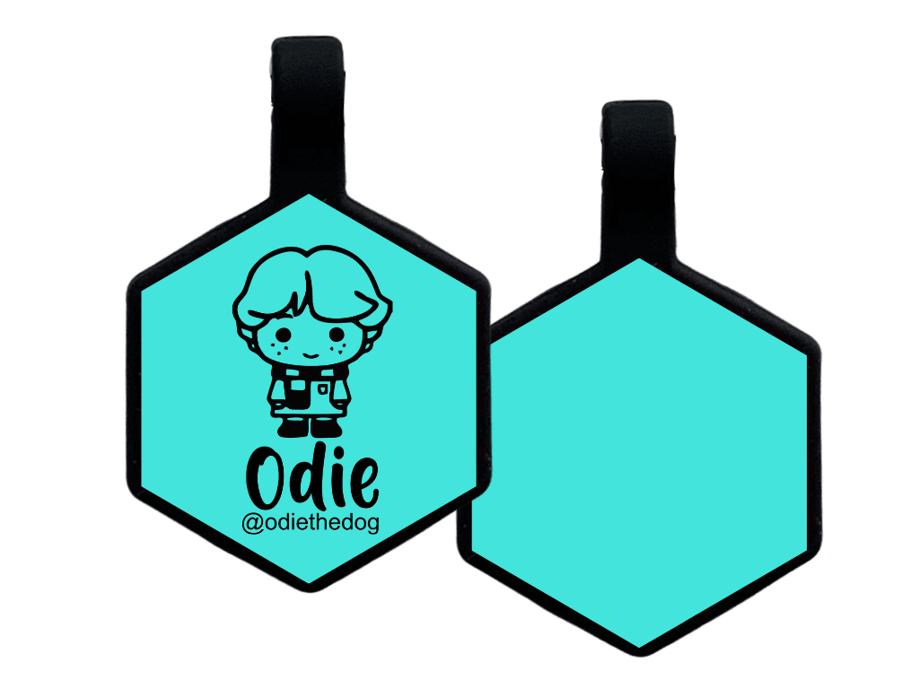 PLACA DE IDENTIFICACIÓN HEXÁGONO - RON WESLEY4