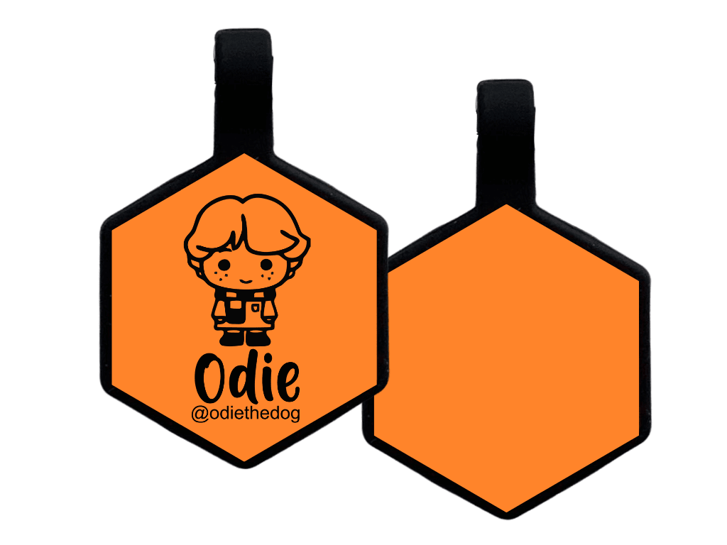 PLACA DE IDENTIFICACIÓN HEXÁGONO - RON WESLEY9