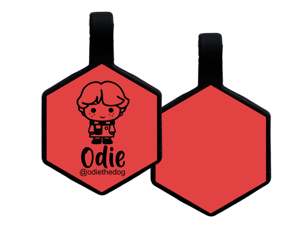 PLACA DE IDENTIFICACIÓN HEXÁGONO - RON WESLEY11