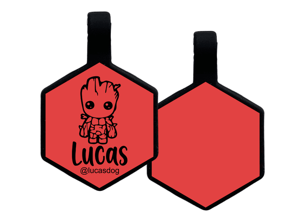 PLACA DE IDENTIFICACIÓN HEXÁGONO - GROOT11