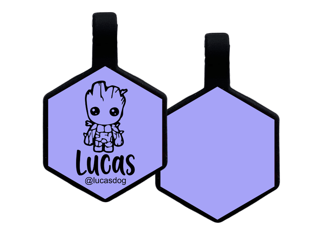 PLACA DE IDENTIFICACIÓN HEXÁGONO - GROOT12