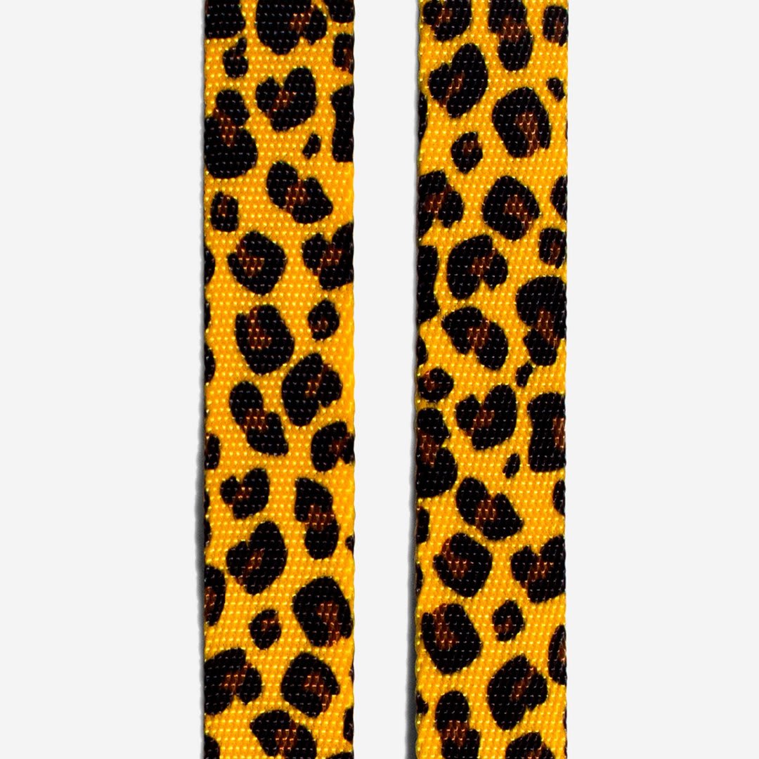 ZEEDOG COLLAR HONEY3