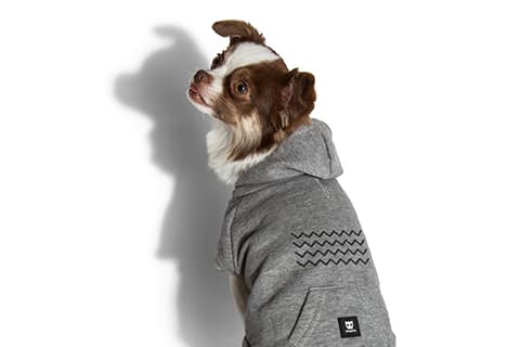 ZEEDOG HOODIE ZIGZAG2