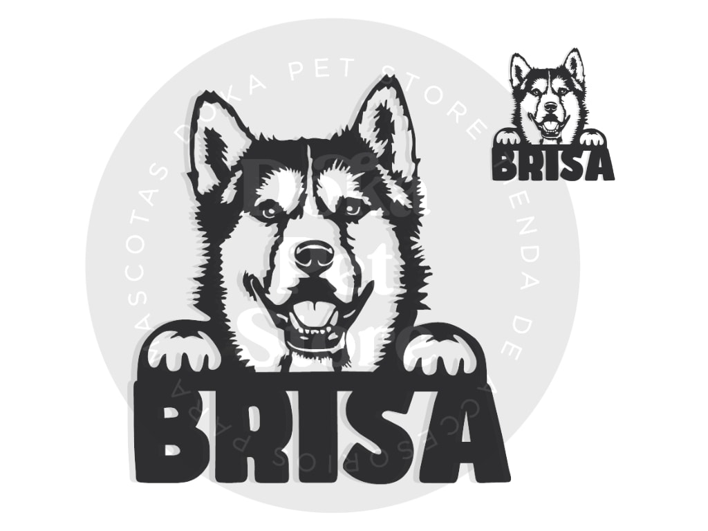 HUSKY SIBERIANO FIGURA1