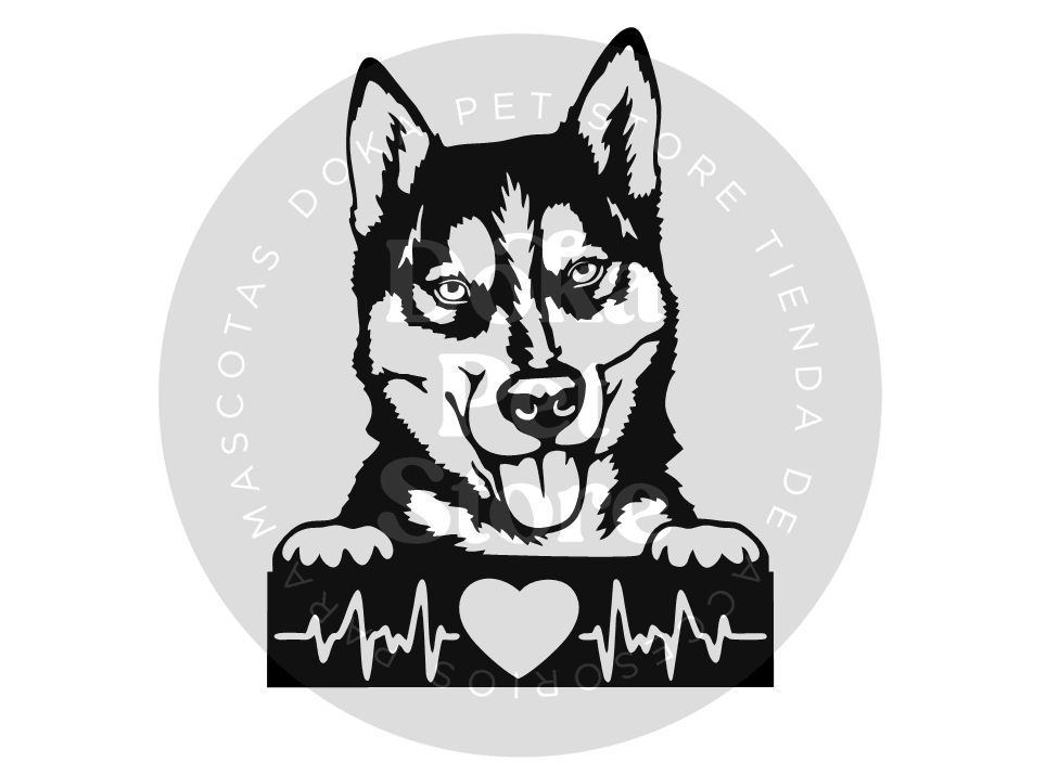 HUSKY SIBERIANO BEATS1