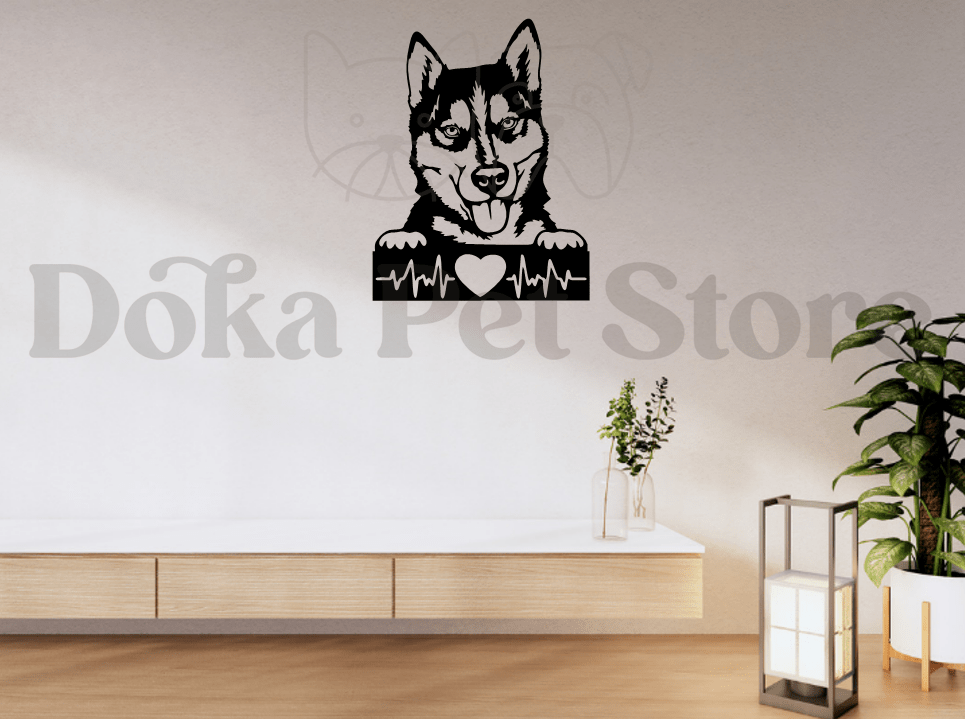 HUSKY SIBERIANO BEATS2