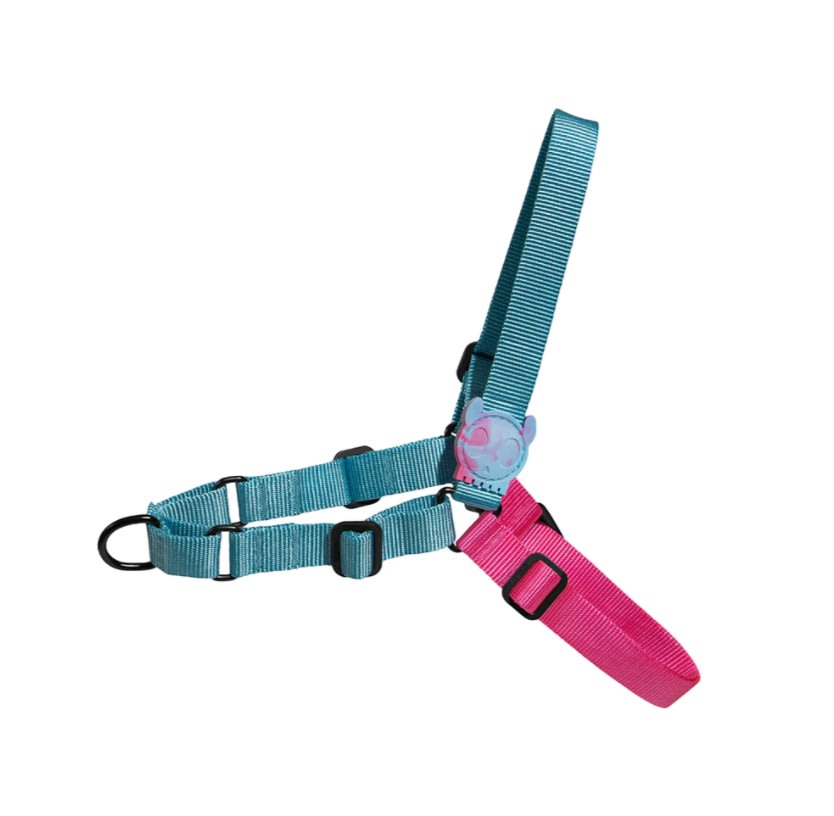 ZEEDOG SOFT WALK HARNESS HYDRA1