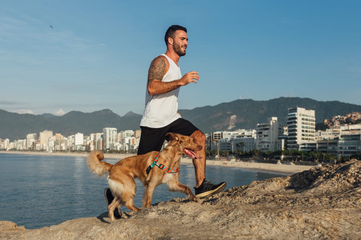 CACHORREIROS ARNES ANTIJALONES HONEY2