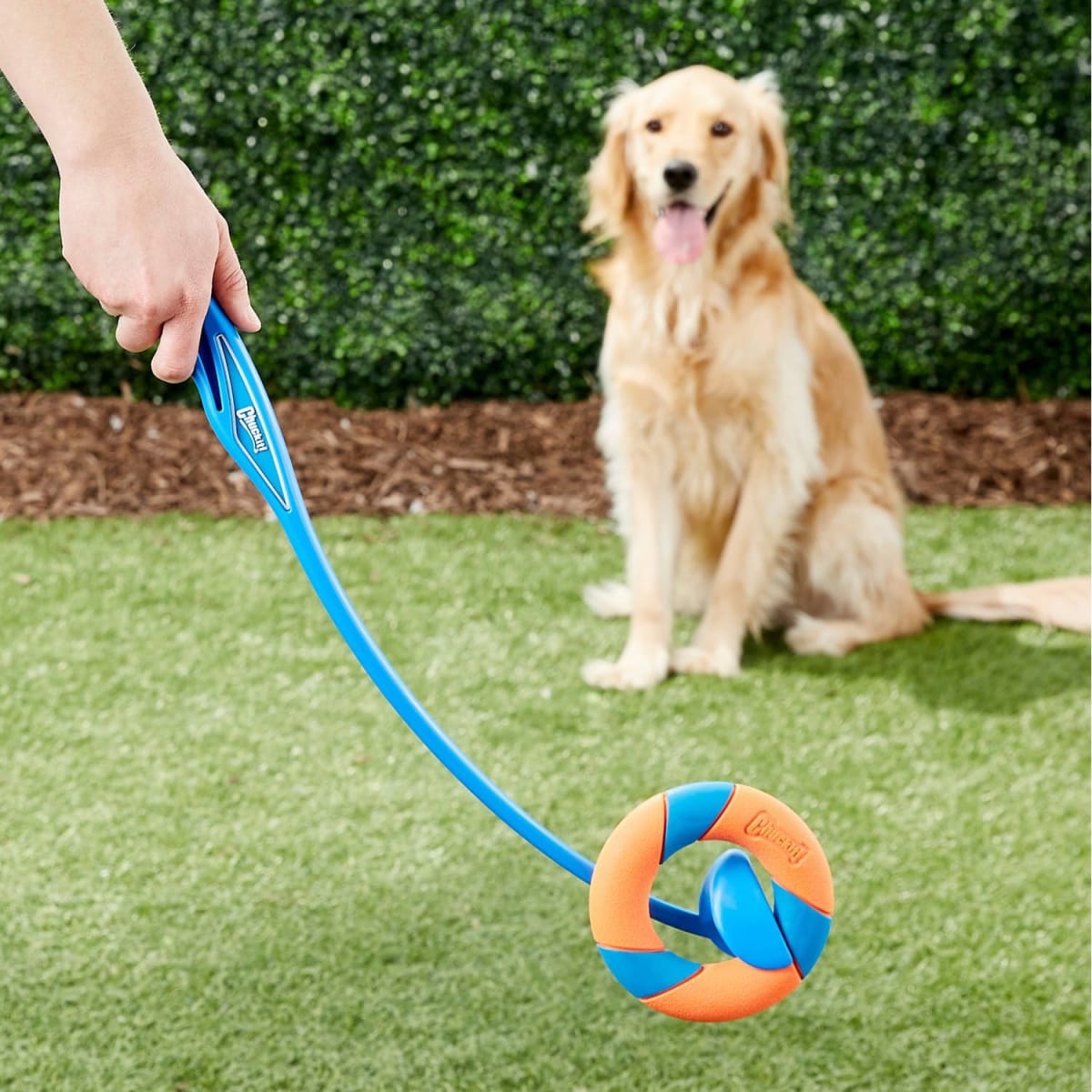 CHUCKIT RING CHASER LAUNCHER2