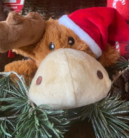 Kong Holiday Cozie Reindeer Md3