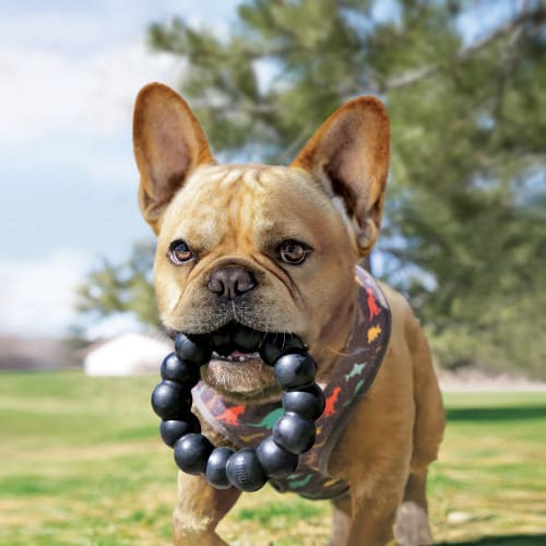 KONG Extreme Ring2