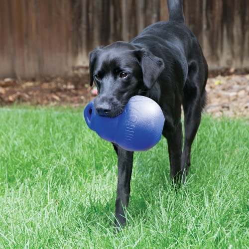 KONG BOUNZER® ULTRA2