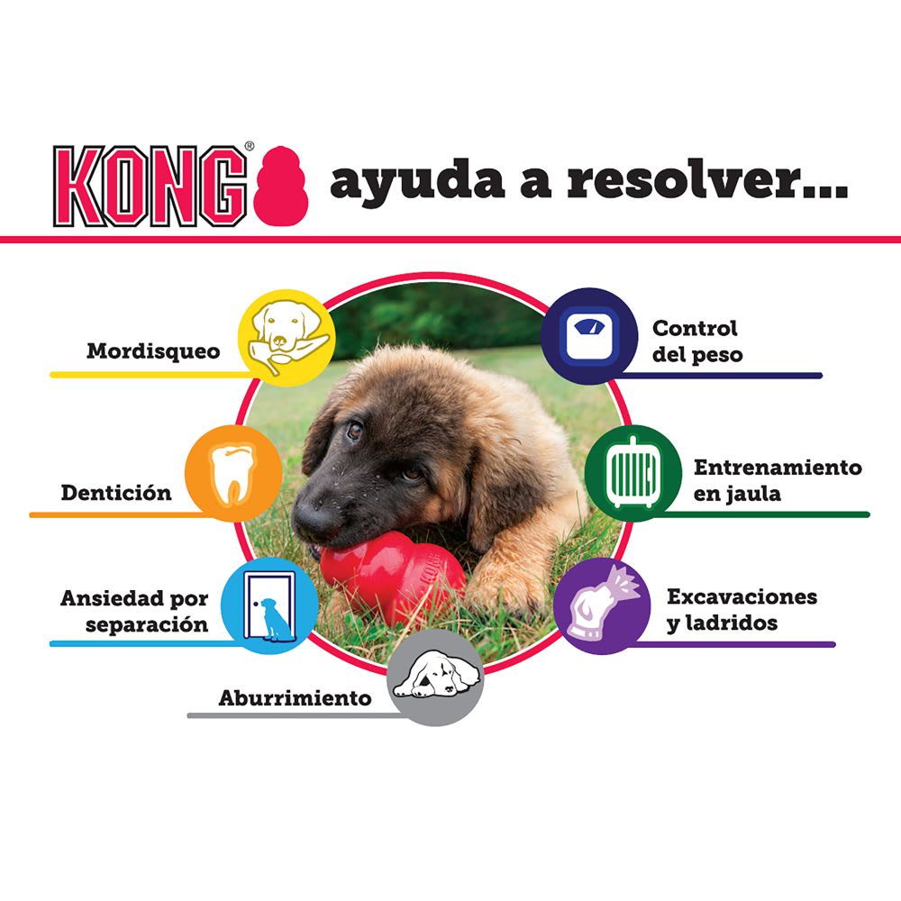 KONG® PUPPY4