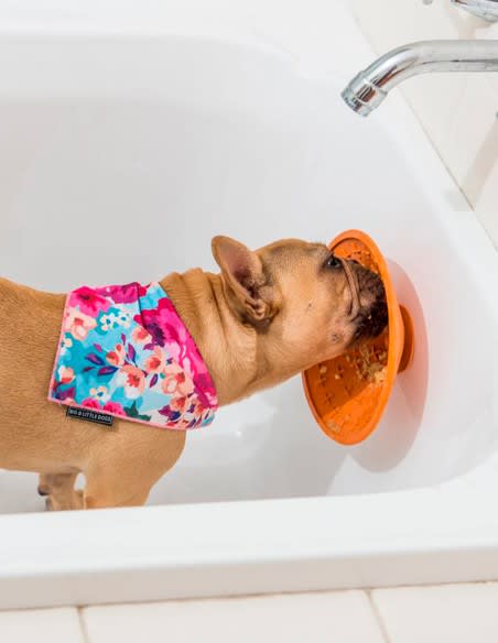 LICKIMAT SPLASH5