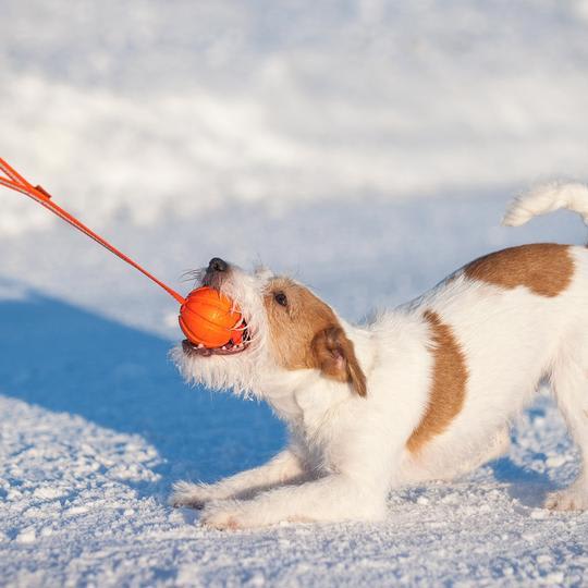 Liker Line Pelota con Cinta reflectiva2