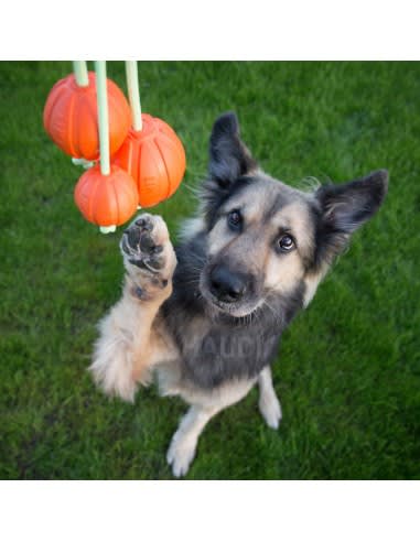 Liker Lumi Pelota con Cuerda que brilla en la oscuridad4