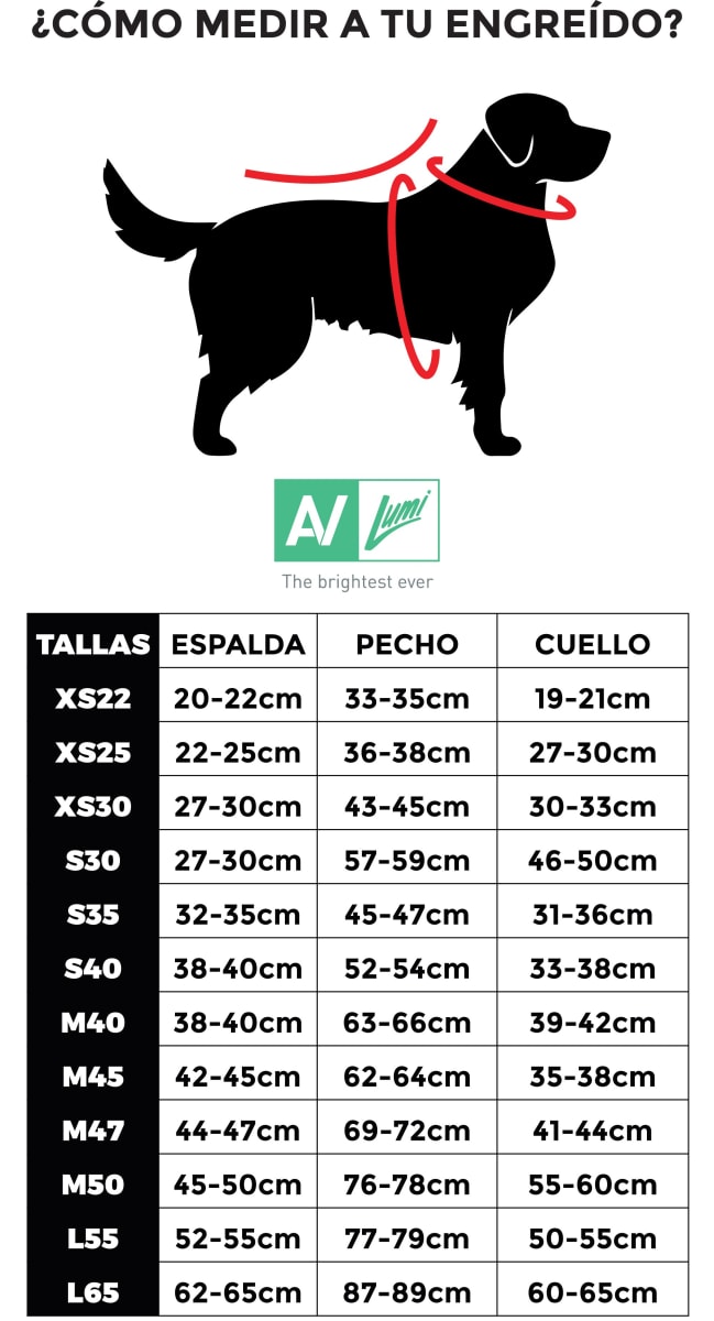 AIRY VEST LUMI REVERSIBLE VERDE CLARO AZUL5