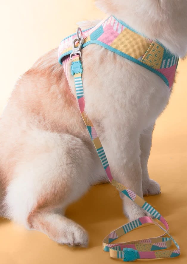 ZEEDOG SALINA PECHERA AIR MESH5