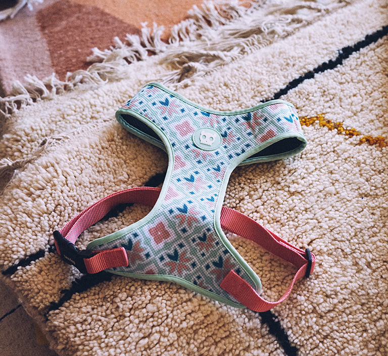 ZEEDOG MARCUCH PECHERA AIR MESH2