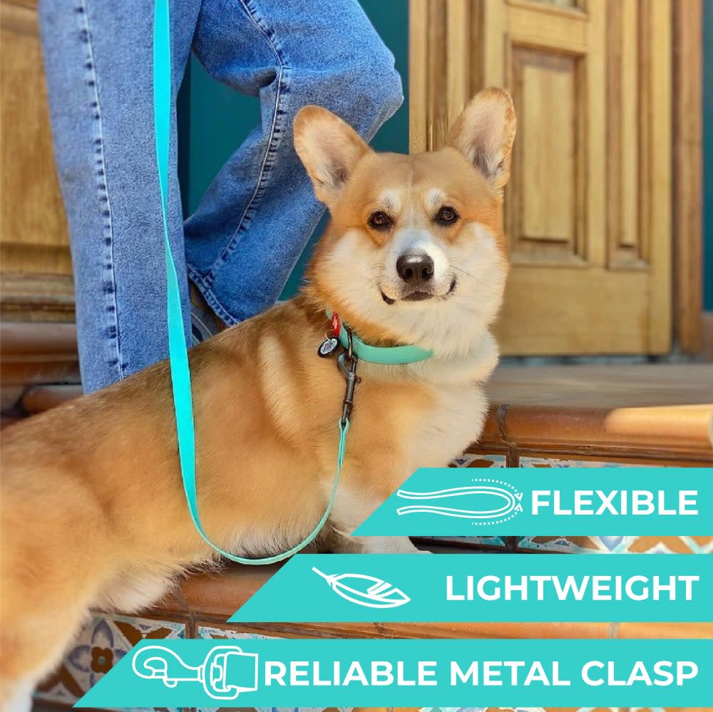 WAUDOG CORREA WATERPROOF MENTA - BRILLA EN LA OSCURIDAD2