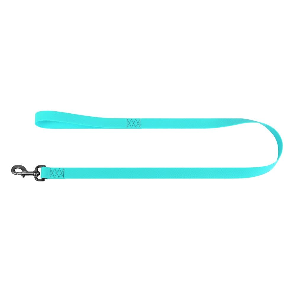 WAUDOG CORREA WATERPROOF MENTA - BRILLA EN LA OSCURIDAD5