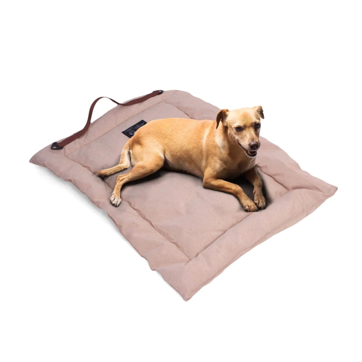 CACHORREIROS CAMA PORTABLE AVELLANA3