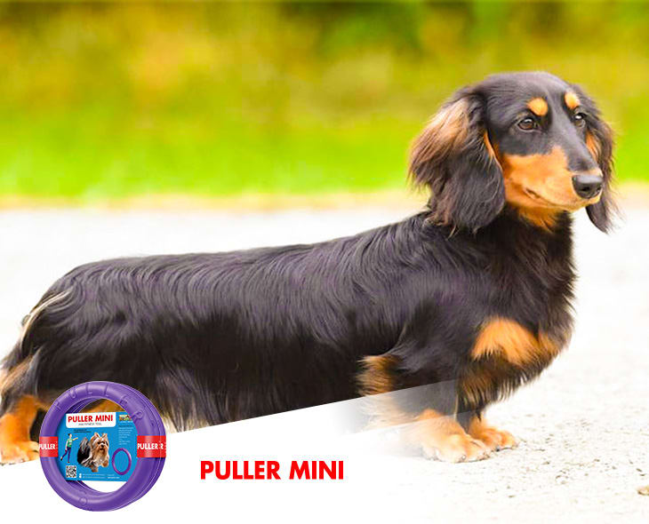 PULLER MINI - 18 CM DIAMETRO3