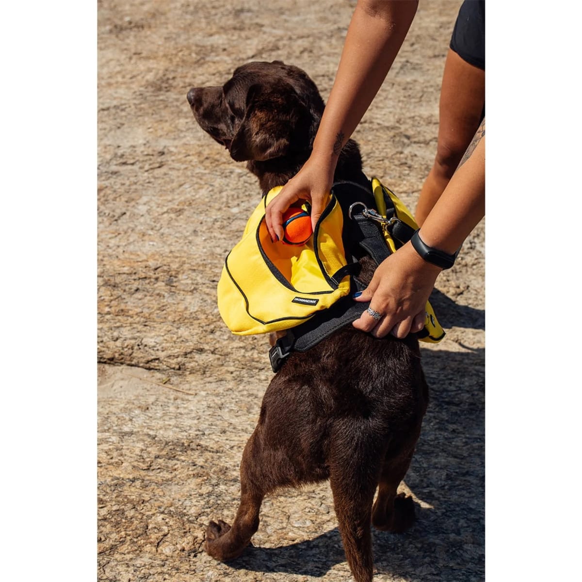 CACHORREIROS MOCHILA TRAIL AMARILLA7