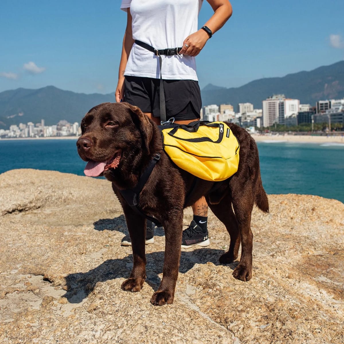 CACHORREIROS MOCHILA TRAIL AMARILLA8