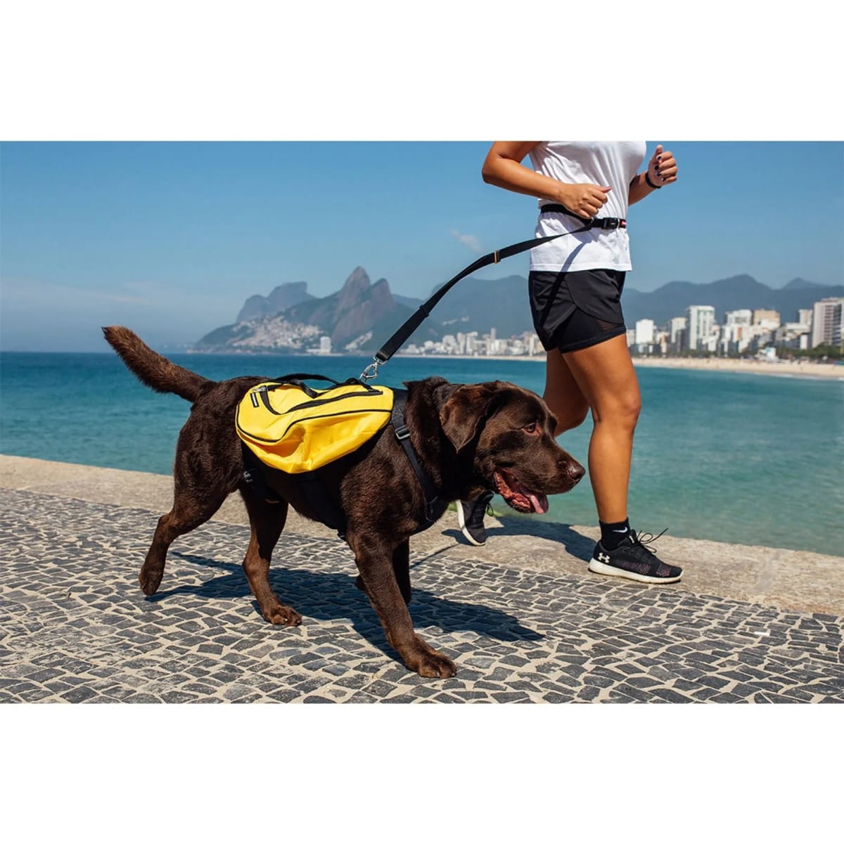 CACHORREIROS MOCHILA TRAIL AMARILLA9