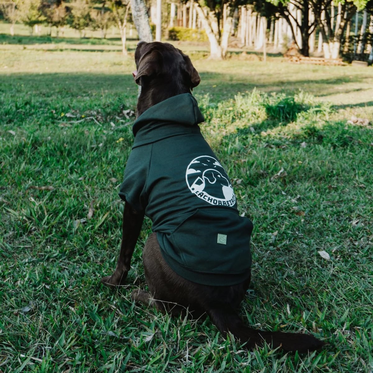 CACHORREIROS SUDADERA ADVENTURE - GREEN2