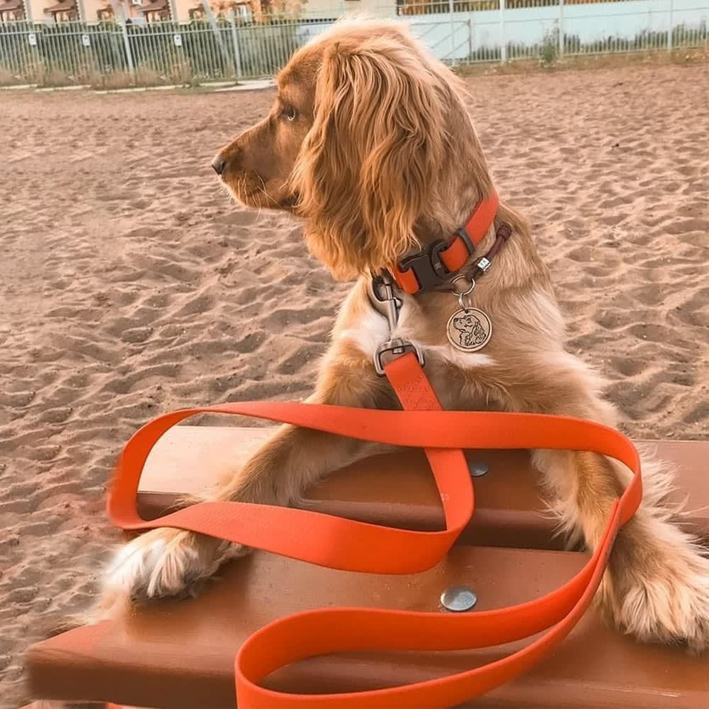 WAUDOG CORREA WATERPROOF NARANJA5