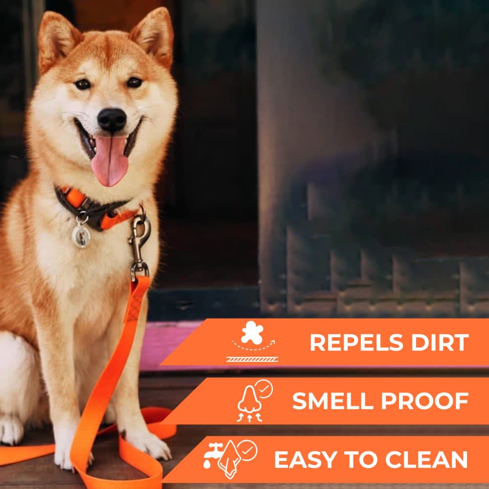 WAUDOG CORREA WATERPROOF NARANJA2