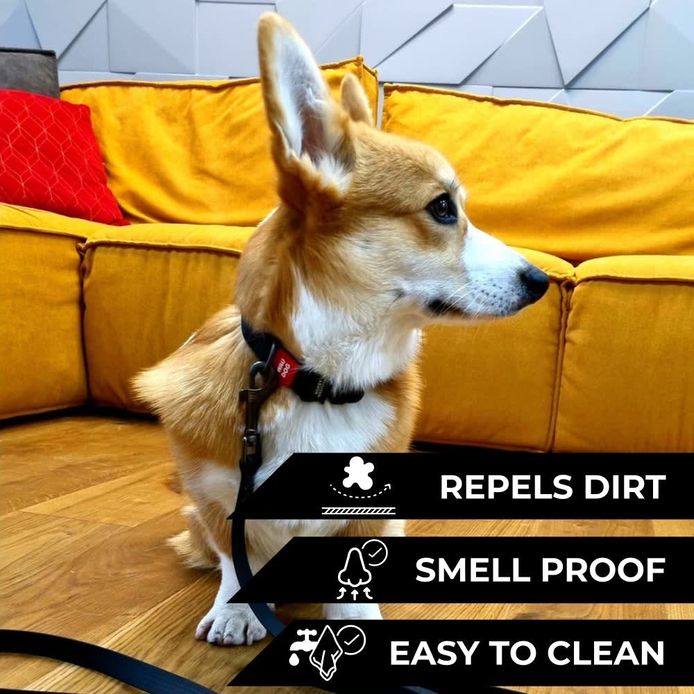 WAUDOG COLLAR WATERPROOF NEGRO - HEBILLA FASTEX METAL - PLACA QR2