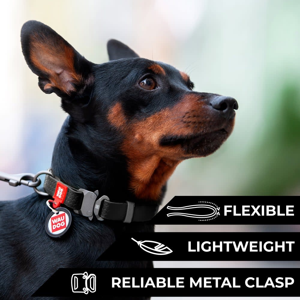WAUDOG COLLAR WATERPROOF NEGRO - HEBILLA FASTEX METAL - PLACA QR6