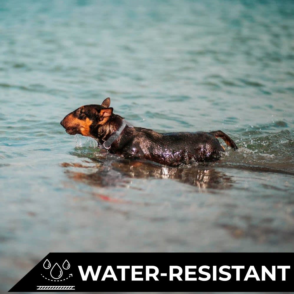 WAUDOG COLLAR WATERPROOF NEGRO - HEBILLA FASTEX METAL - PLACA QR4