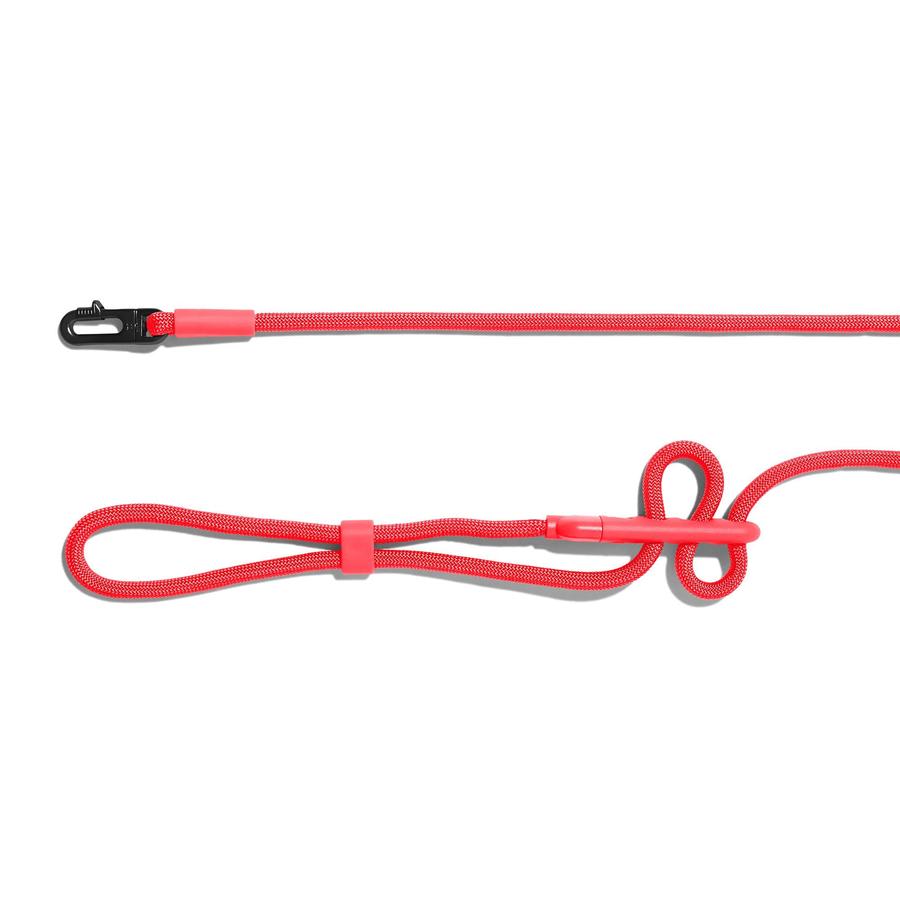 ZEEDOG HANDSFREE CORAL5