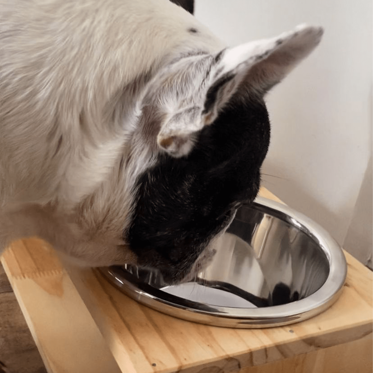 COMEDERO MADERA DOBLE4